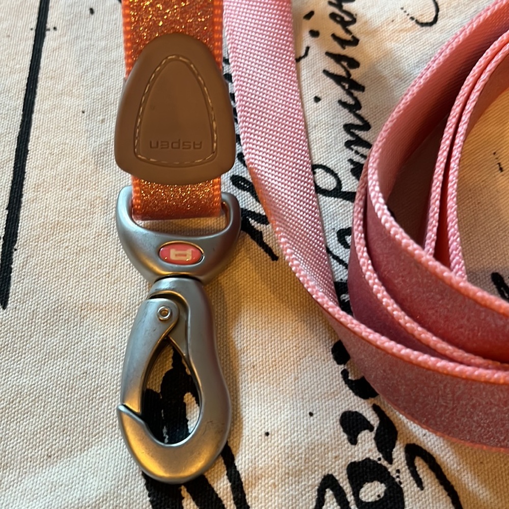 Leash - Picture 3 of 5